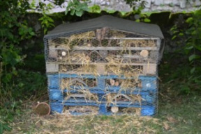 Bug House